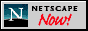 netscapenow.gif (860 bytes)